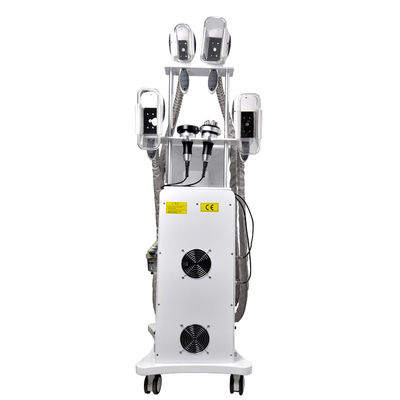 Замораживание Cryolipolysis  жирное уменьшая OEM машины 800W