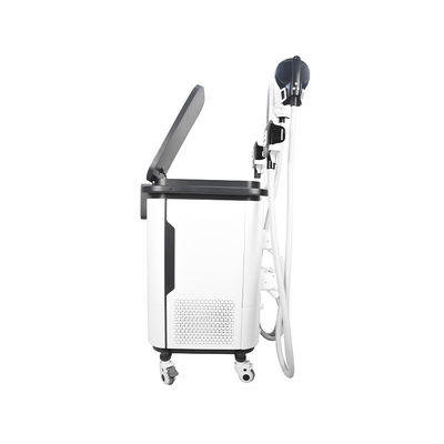 2 в 1 машине  4 тела  Cryo ваяя регулирует машину Estimulador мышечную